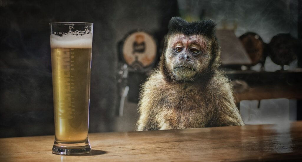 corona, ape, drink-5116219.jpg